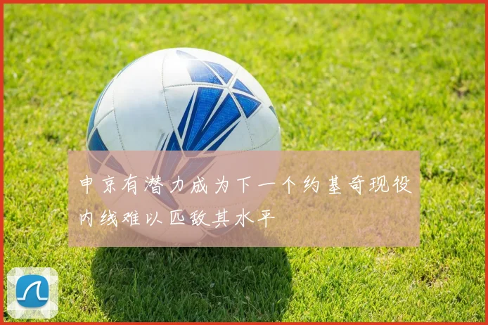 申京有潜力成为下一个约基奇现役内线难以匹敌其水平